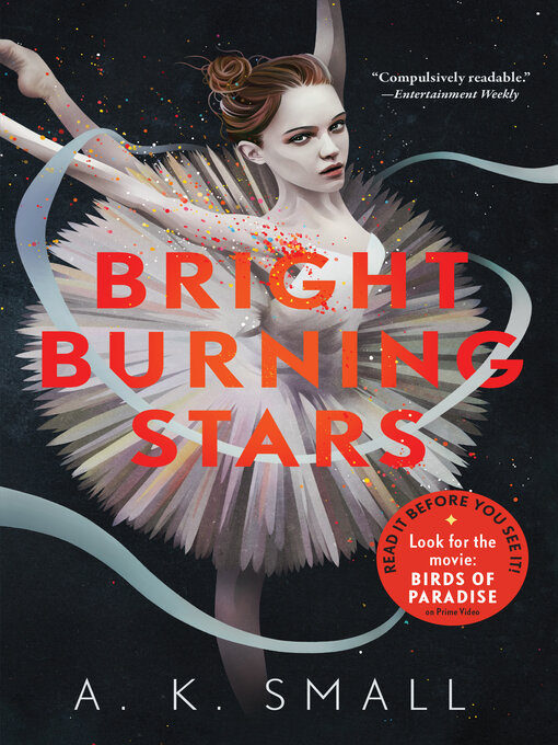 Title details for Bright Burning Stars by A.K. Small - Wait list
